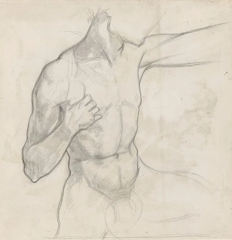 Romp Van Mannelijk Naakt