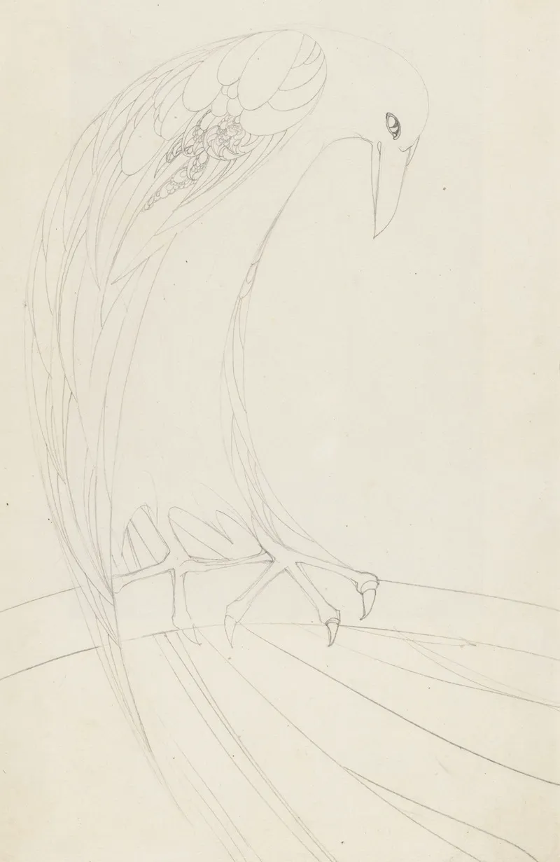 Roofvogel Op Een Tak