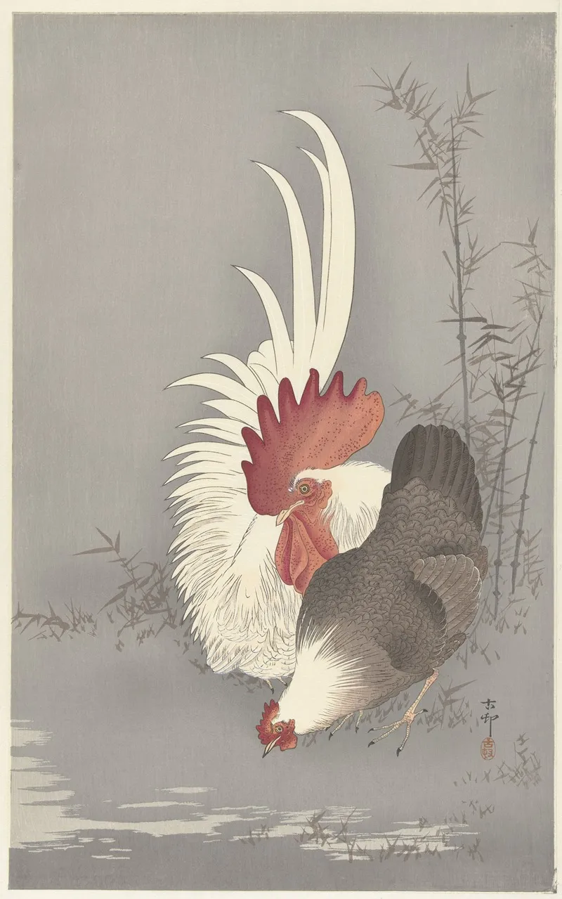 Rooster And Chicken
