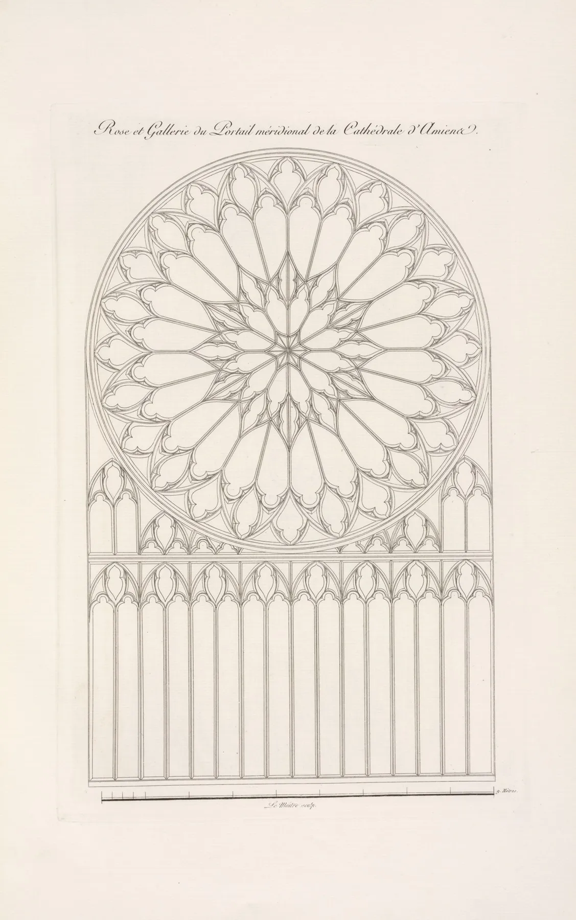 Rose Et Gallerie Du Portail Meridional De La Cathedrale Damiens by Nicolas Xavier Willemin - Canvas Print