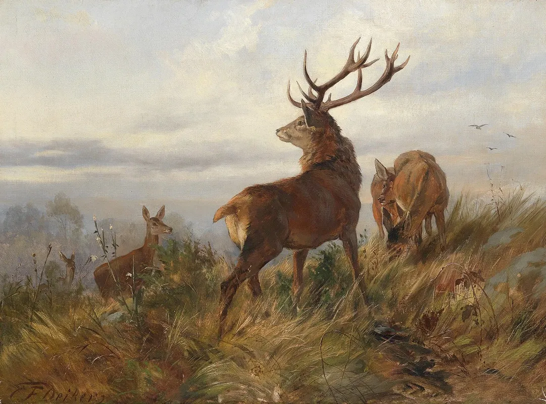 Rotwild In Der Morgendammerung