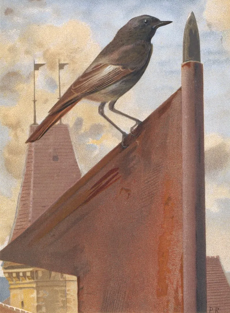 Rouge Queue by Léo-Paul Robert - Canvas Print