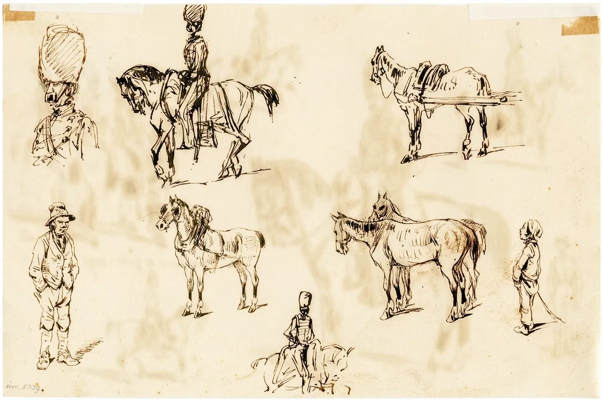Ruiters Paarden E A