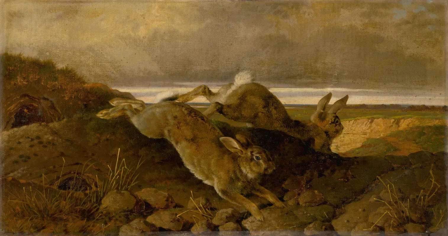 Running Rabbits by Friedrich Carl von Scheidlin - Canvas Print