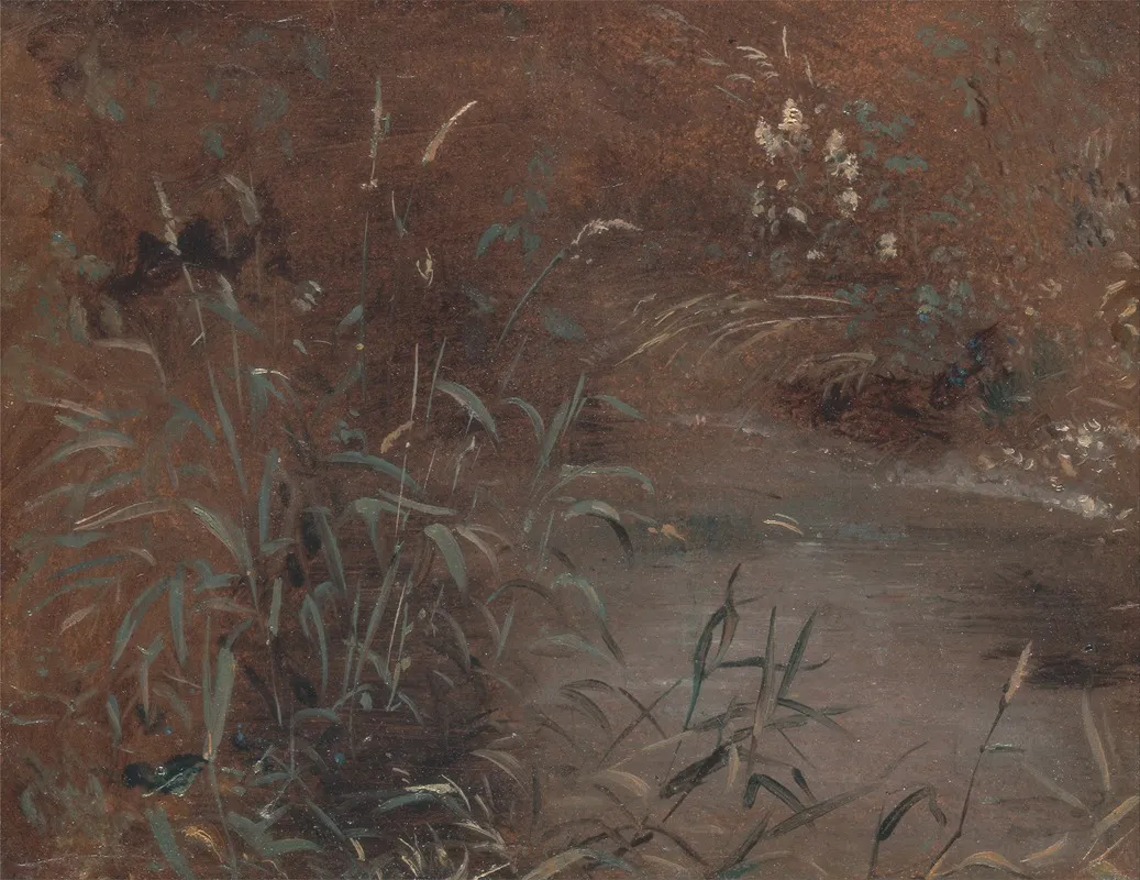 Rushes By A Pool by John Constable - Canvas Print