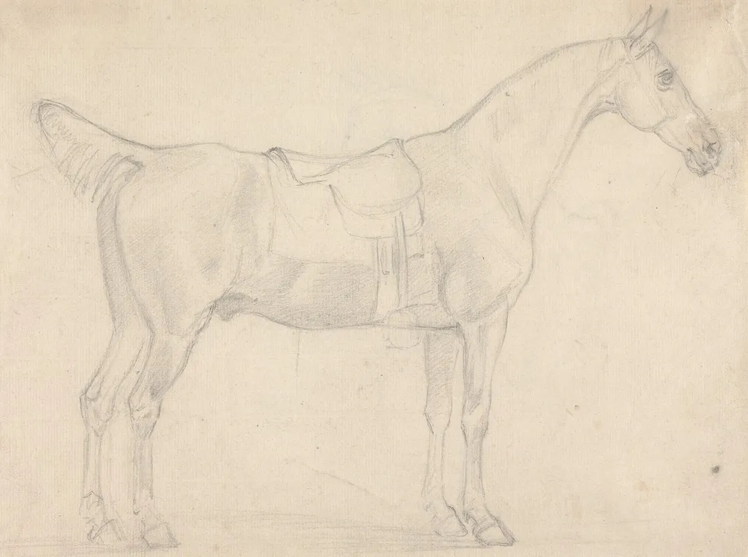 Saddled Horse Facing Right