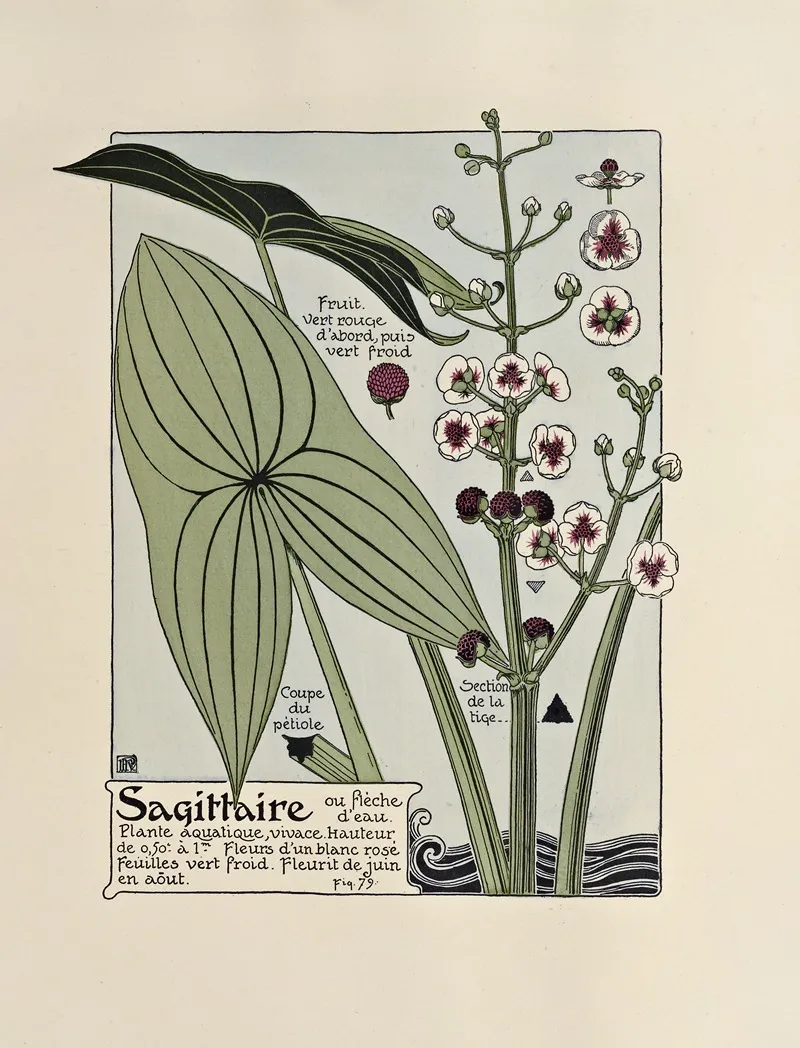 Sagittaire 4 by Maurice Pillard Verneuil - Canvas Print