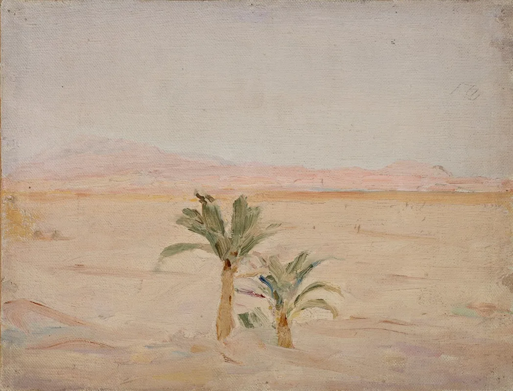 Sahara Desert 2