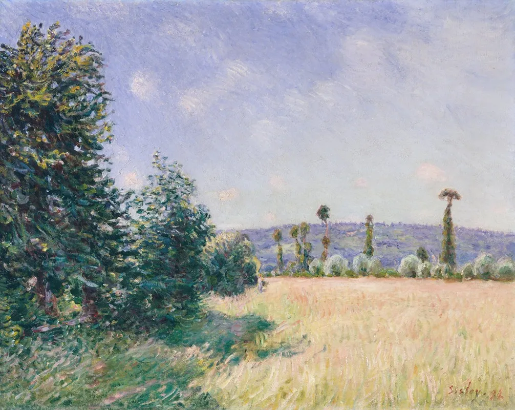 Sahurs Meadows In Morning Sun