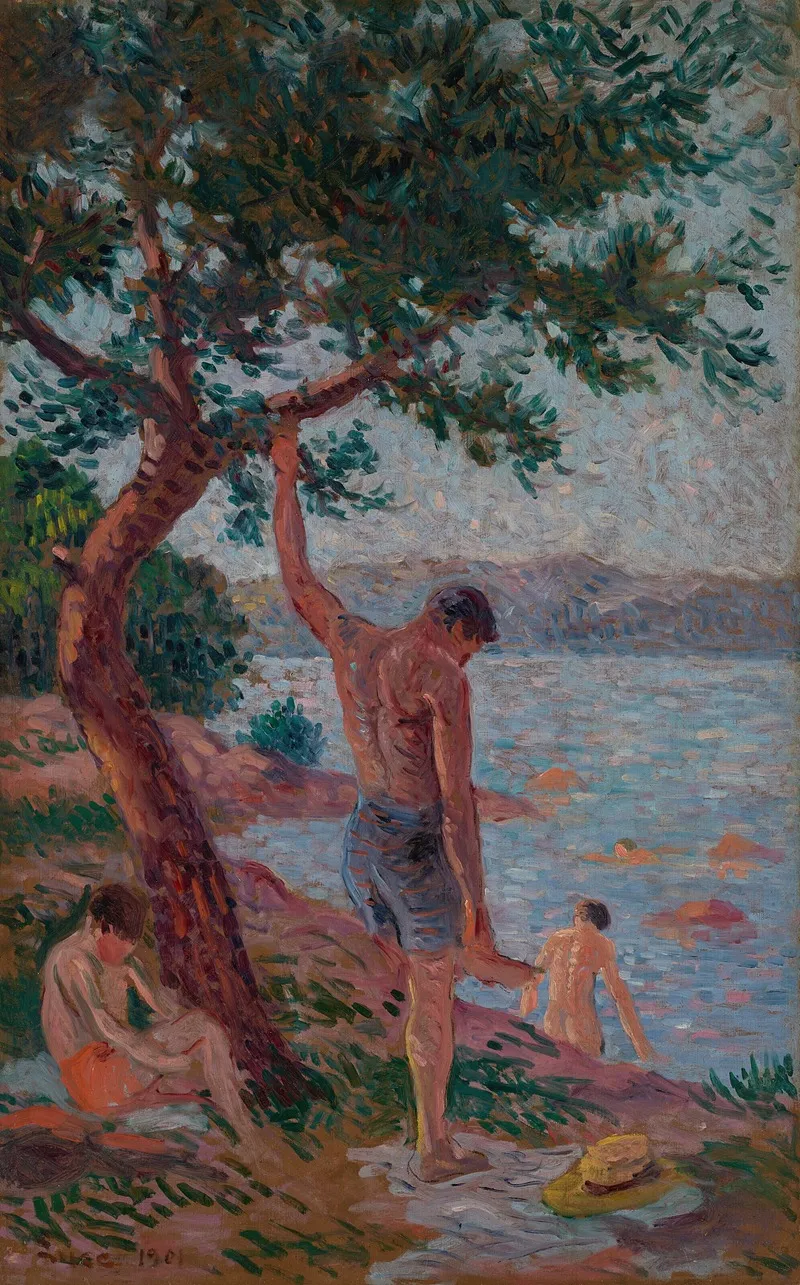 Saint Tropez Baigneurs Sous La Pinede