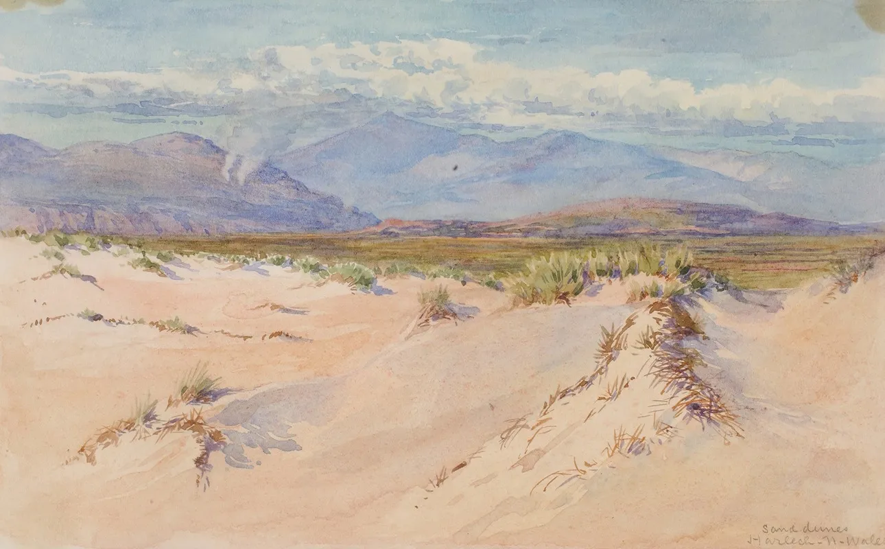 Sand Dunes Harlech North Wales by George Elbert Burr - Canvas Print