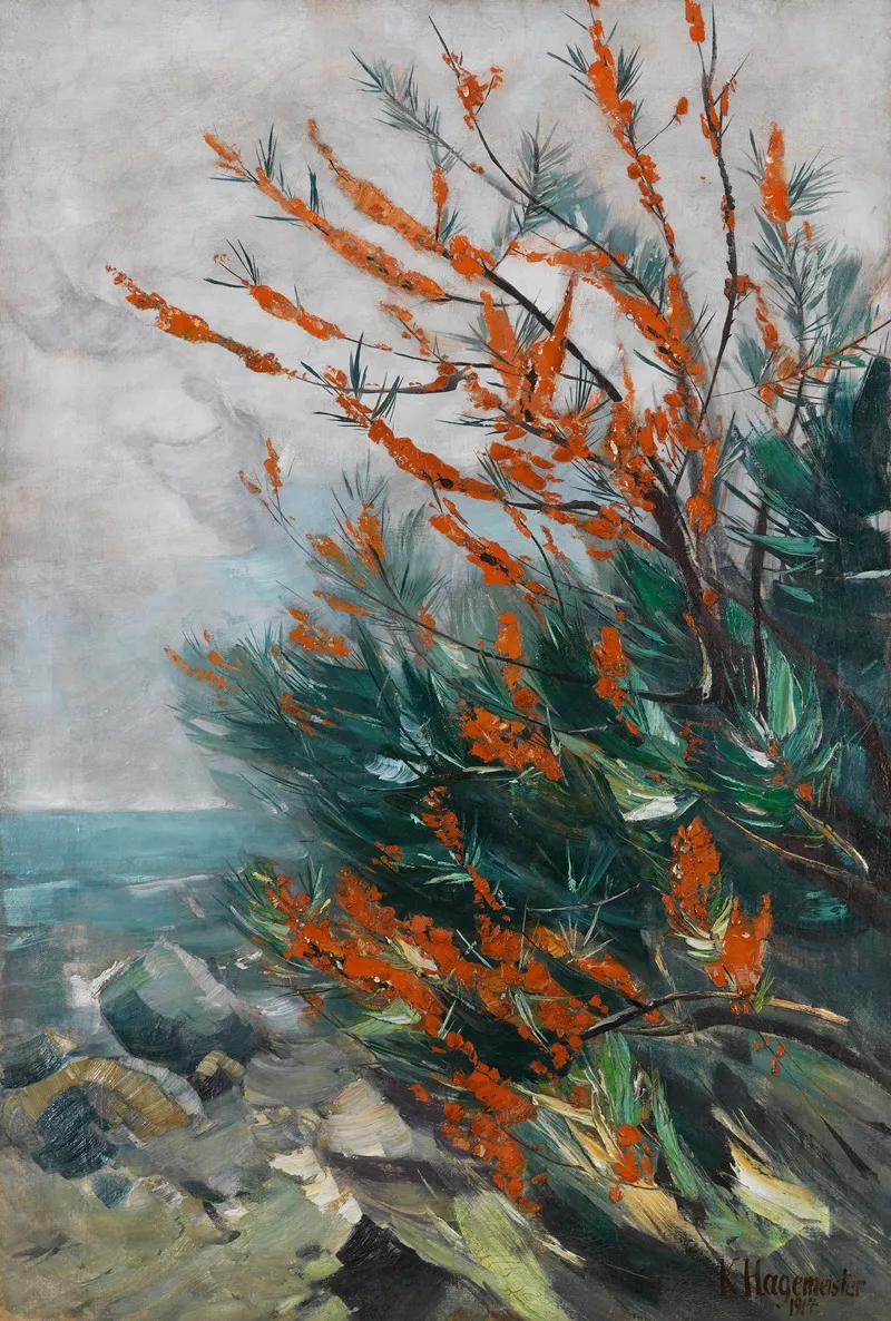 Sanddornstrauch An Der Meereskuste