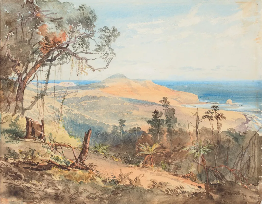 Sandfly Bay And Gull Rock Near Dunedin
