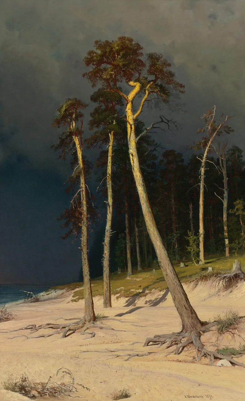 Sandy Coastline by Ivan Ivanovich Shishkin - Canvas Print