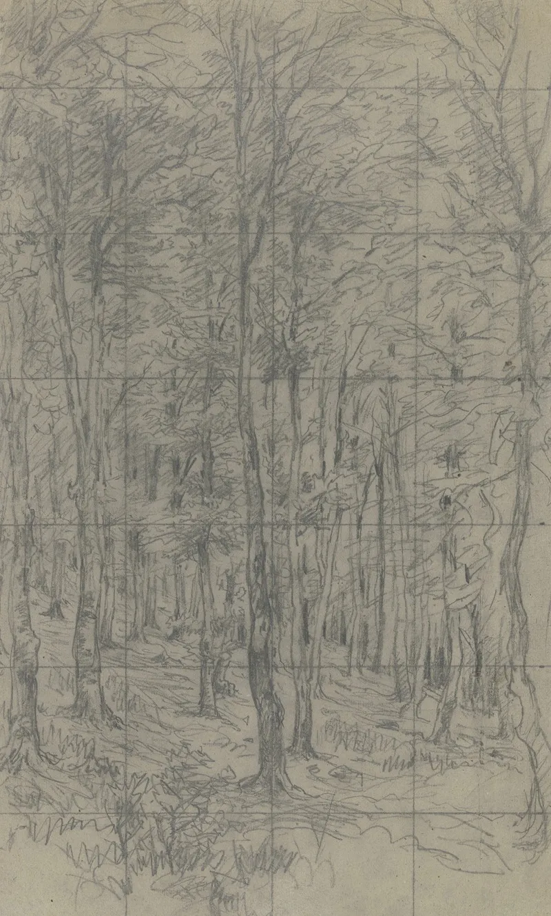 Saplings On A Slope
