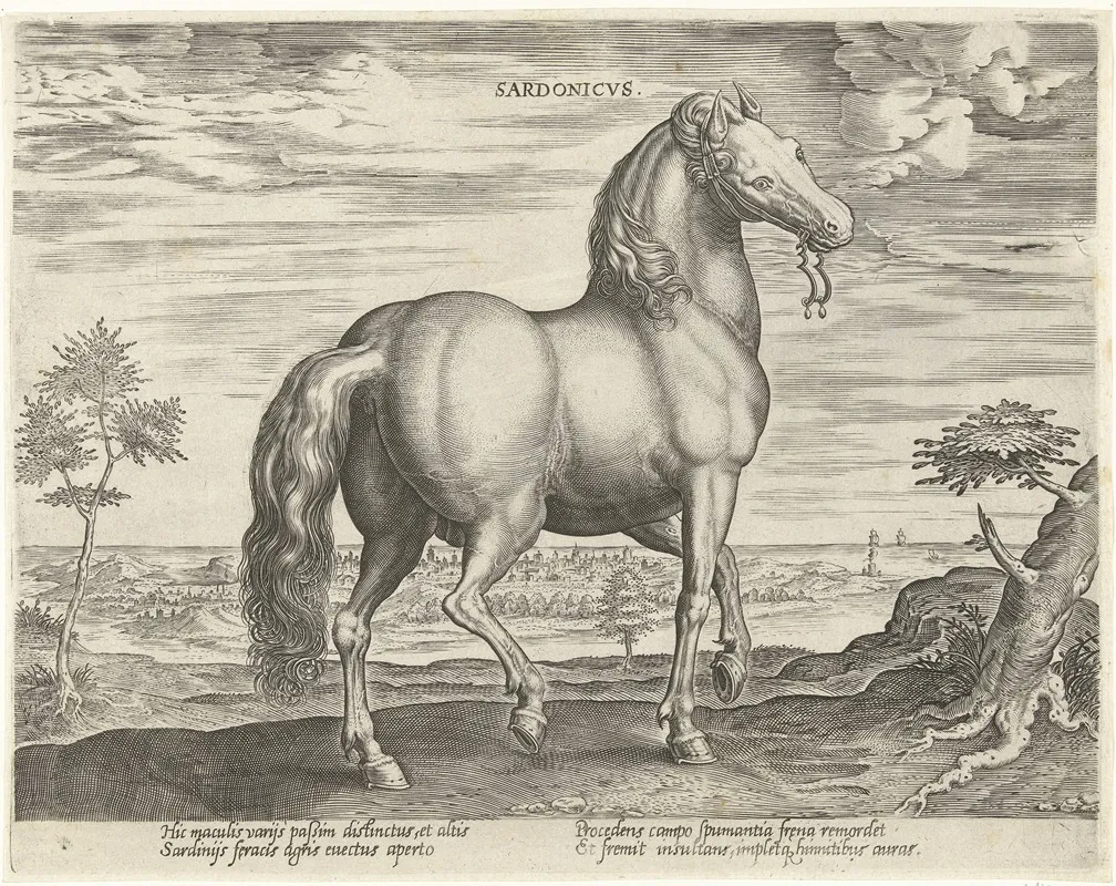 Sardonicus