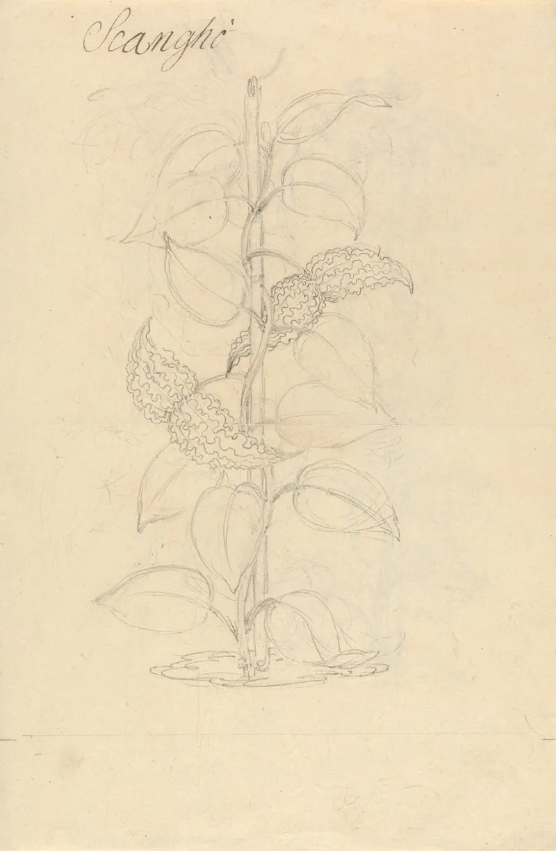 Scangho by Luigi Balugani - Canvas Print