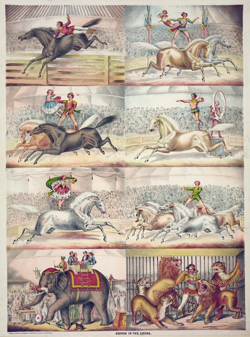 Scenes In The Arena 2