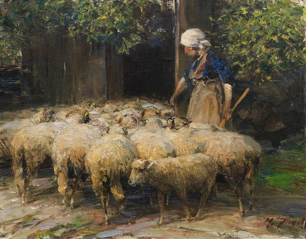 Schaferin Mit Schafherde Am Stall