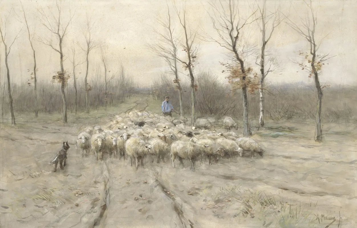 Schapenkudde Op De Heide Bij Laren