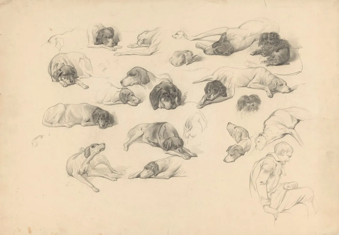 Schetsblad Met Diverse Hondenstudies by August Allebé - Canvas Print