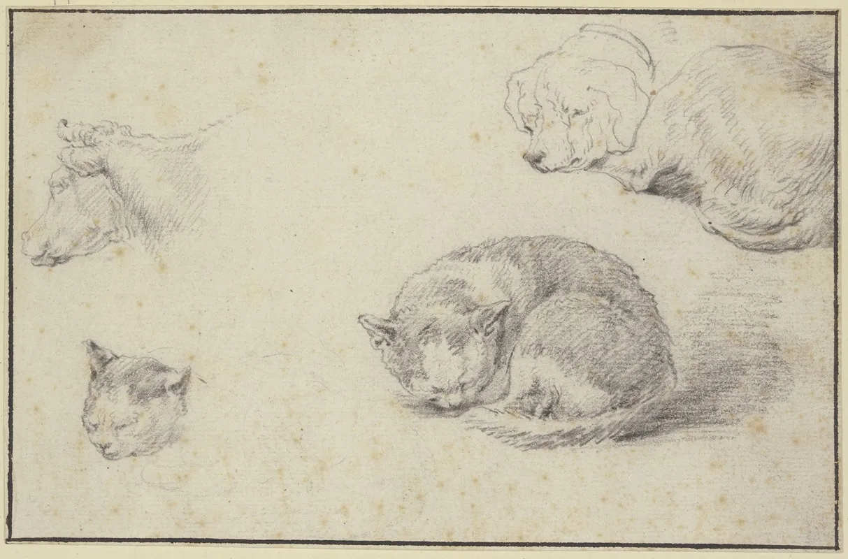 Schlafende Katze Und Hund Ein Kuhkopf Und Ein Katzenkopf