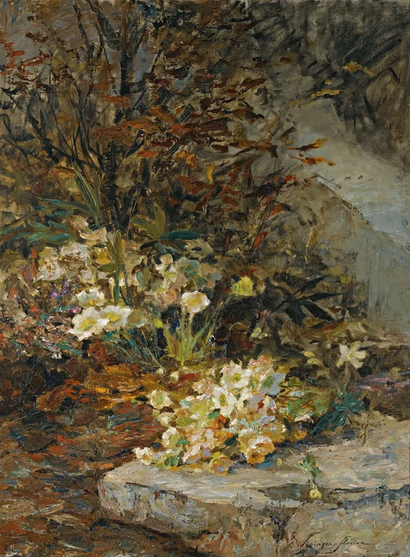 Schneerosen Hellebores