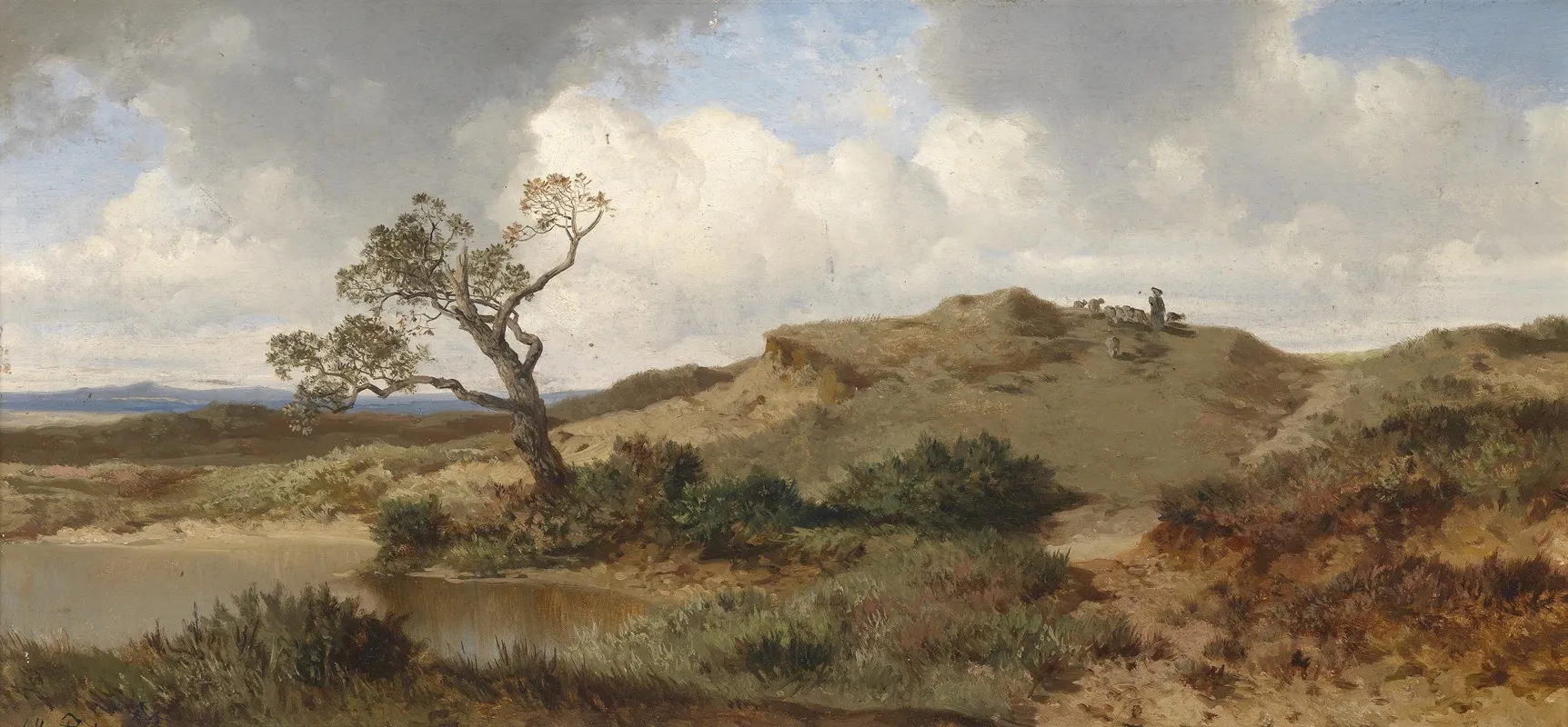 Schwabische Alb by Albert Zimmermann - Canvas Print