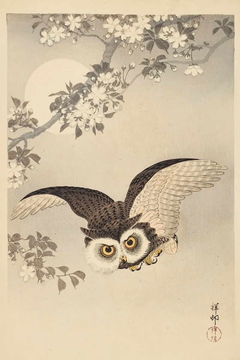 Scops Owl Cherry Blossoms And Moon