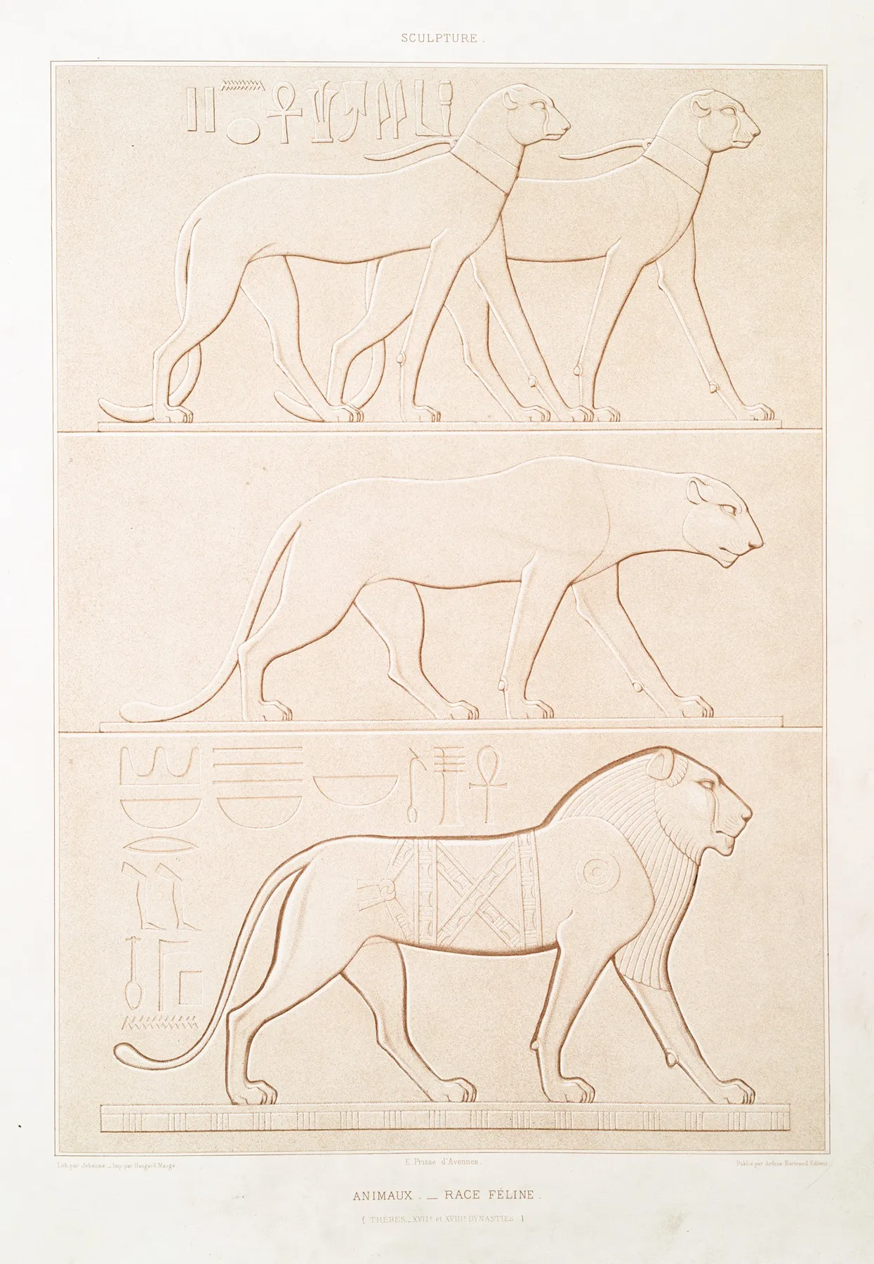 Sculpture Animaux Race Feline Thebes Xviie Et Xviiie Dynasties by Émile Prisse d'Avennes - Canvas Print