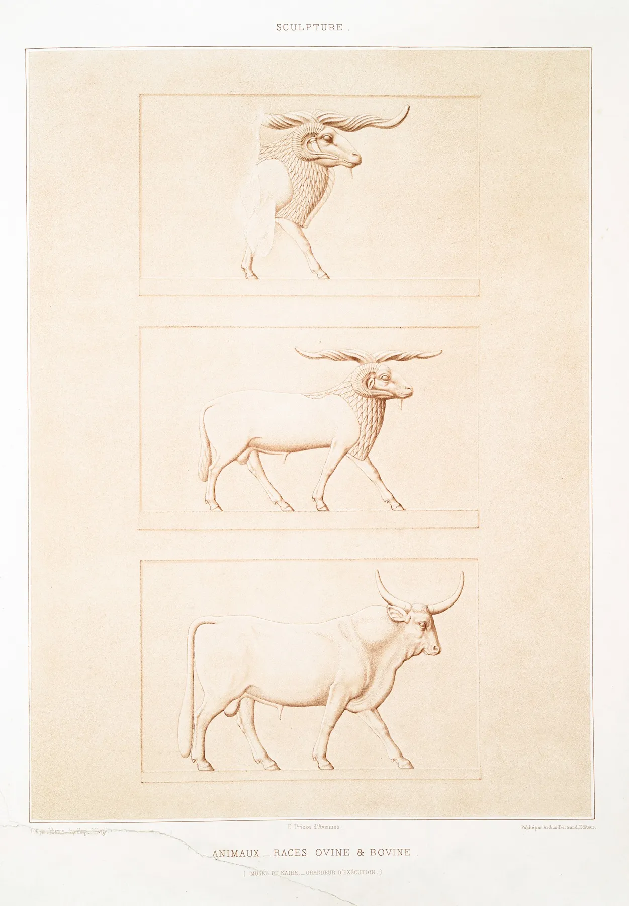 Sculpture Animaux Races Ovine Bovine Musee Du Kaire Grandeur Dexecution