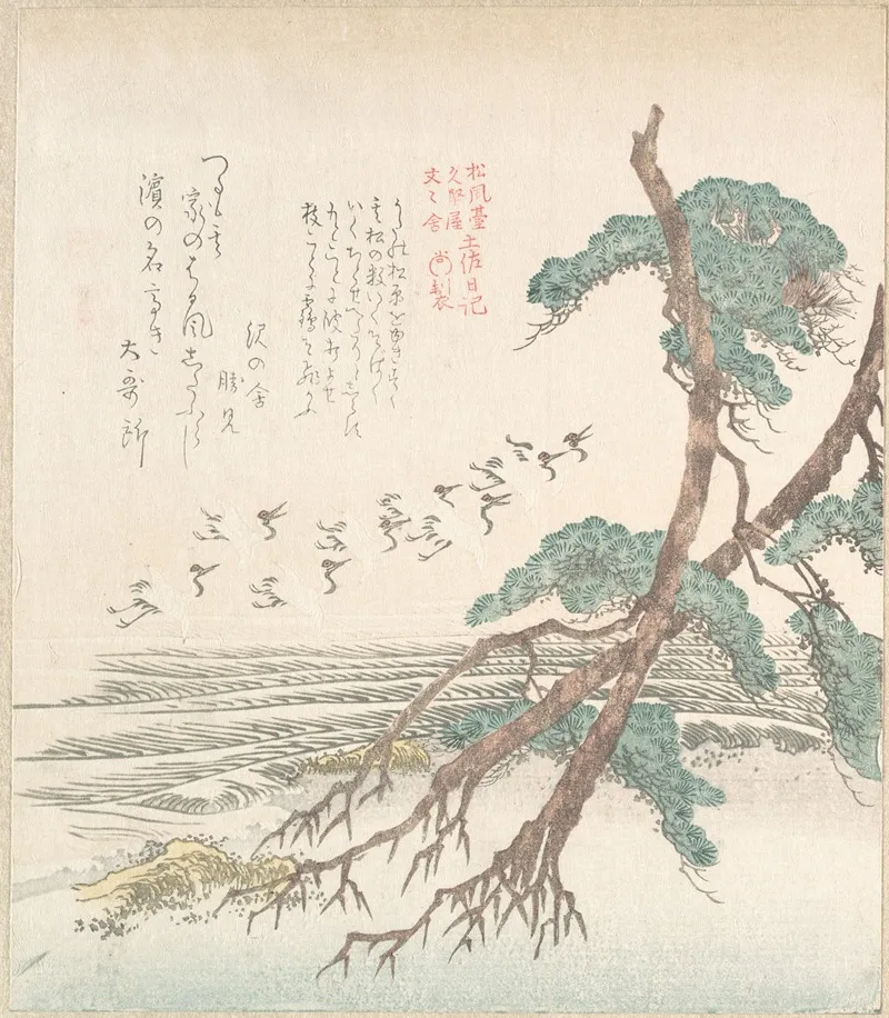Sea Side Landscape With Pine Trees And Flying Cranes