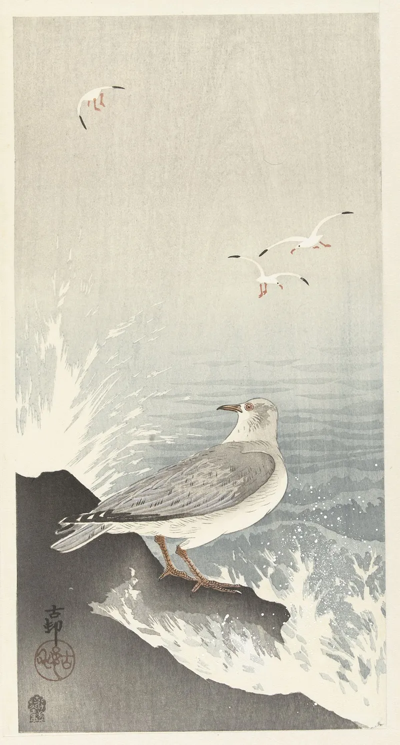 Seagull On Rock by Ohara Koson - Canvas Print