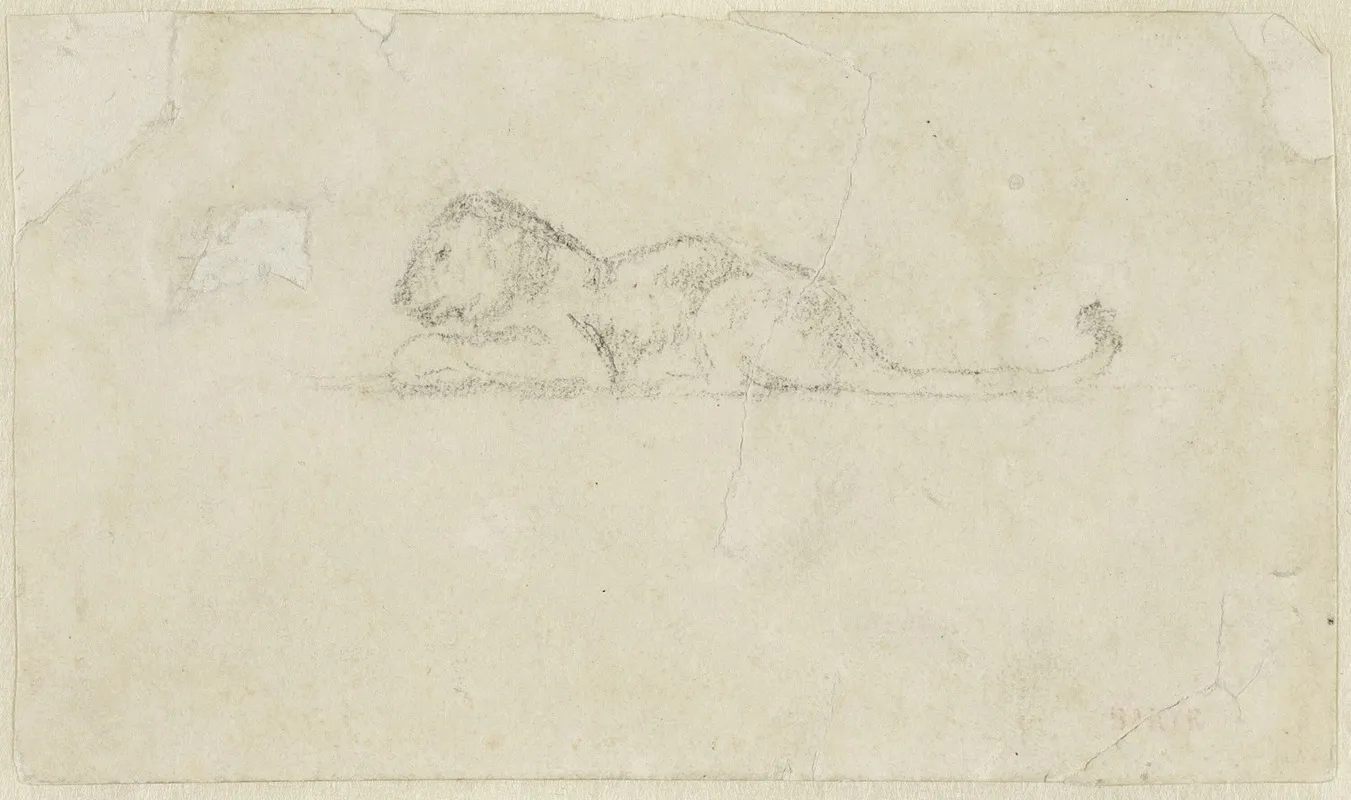 Seated Lioness