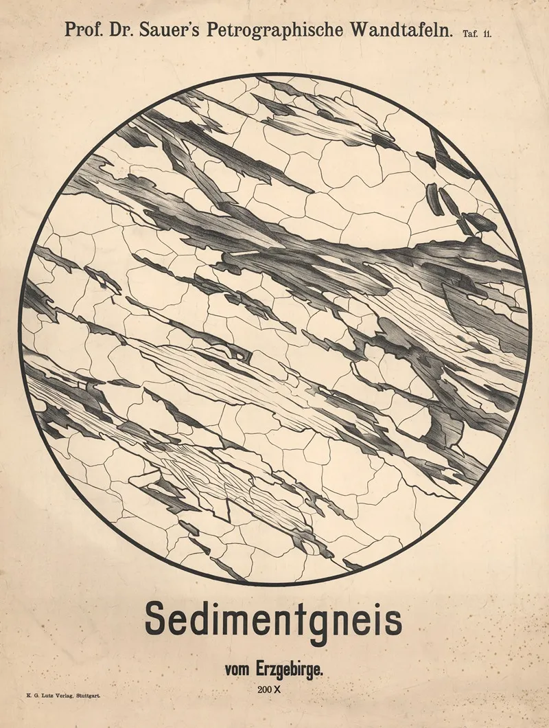 Sedimentary Gneiss From The Ore Mountains