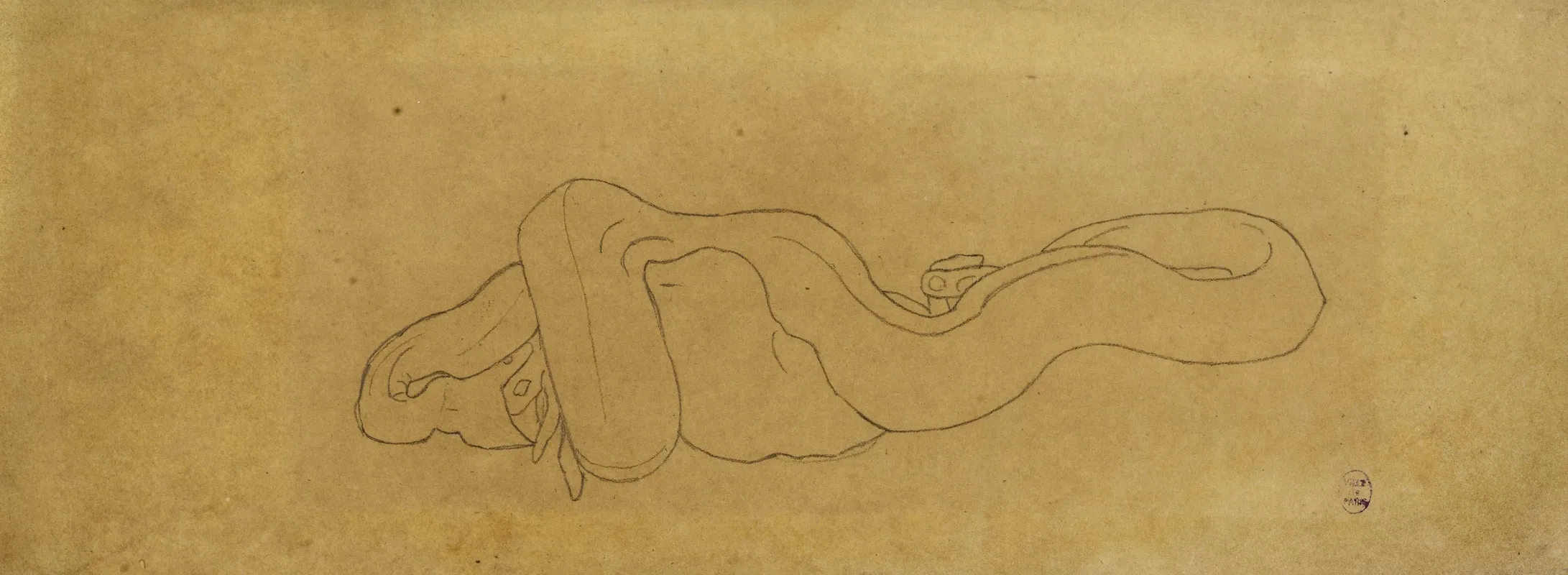 Serpent Devorant Une Proie