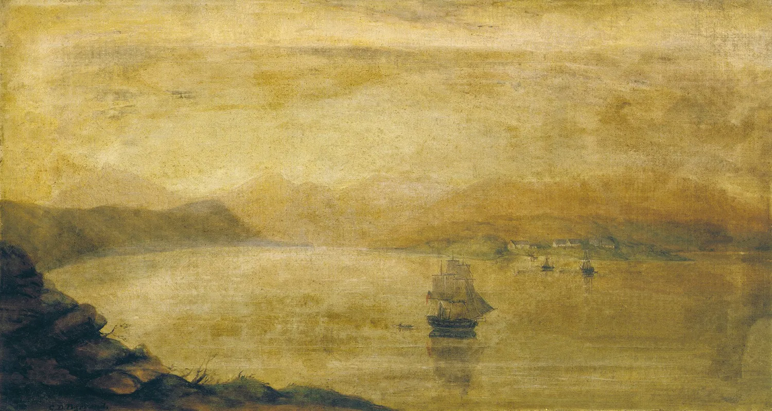 Settlement At Port Ross Auckland Islands