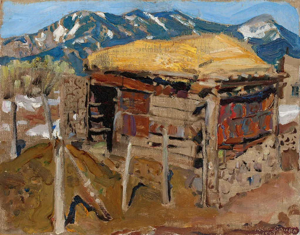 Shed In The Taos Mountains
