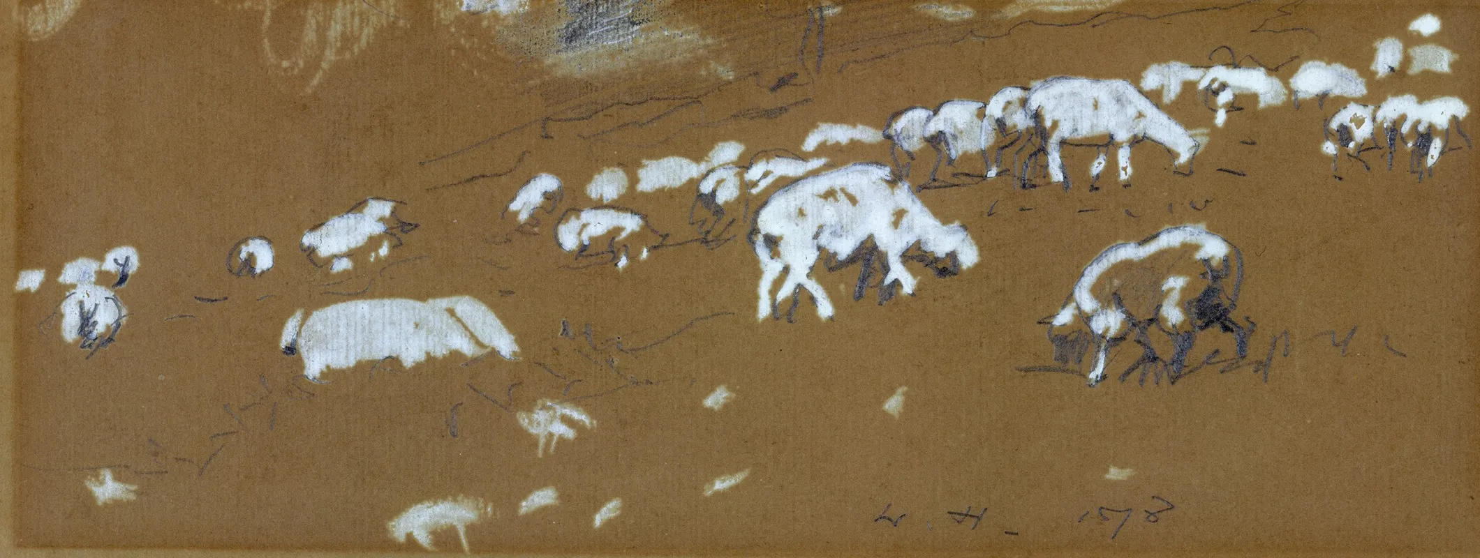 Sheep 3