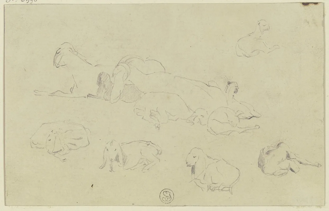 Sheep 8 by Wilhelm Gentz - Canvas Print