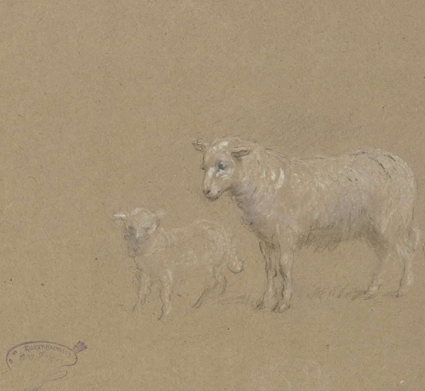 Sheep And Lamb
