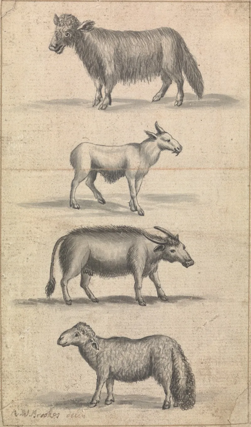 Sheep And Three Animals