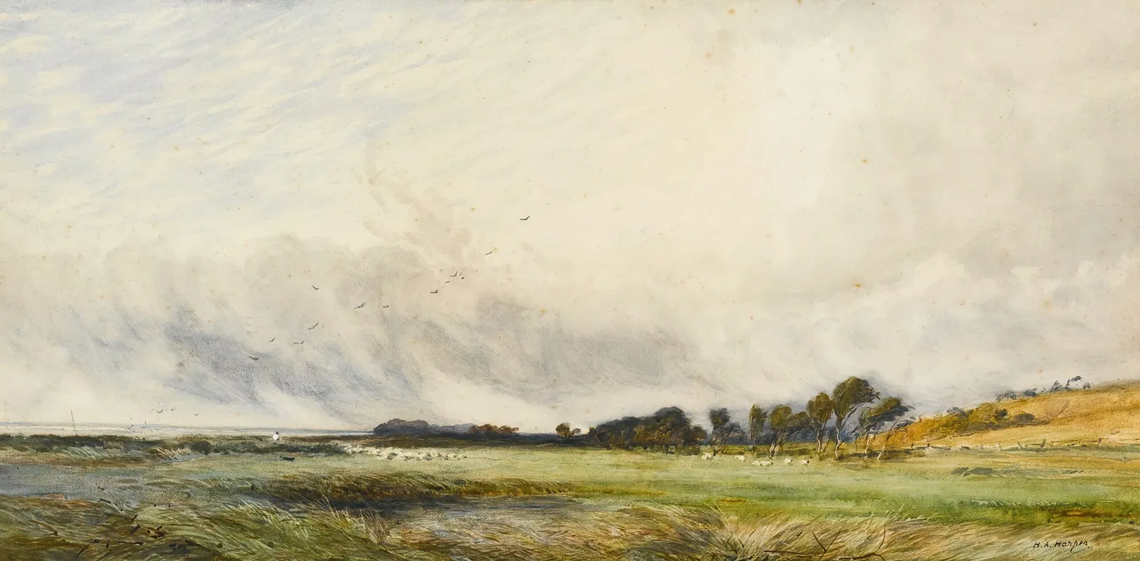 Sheep Grazing By The Coast