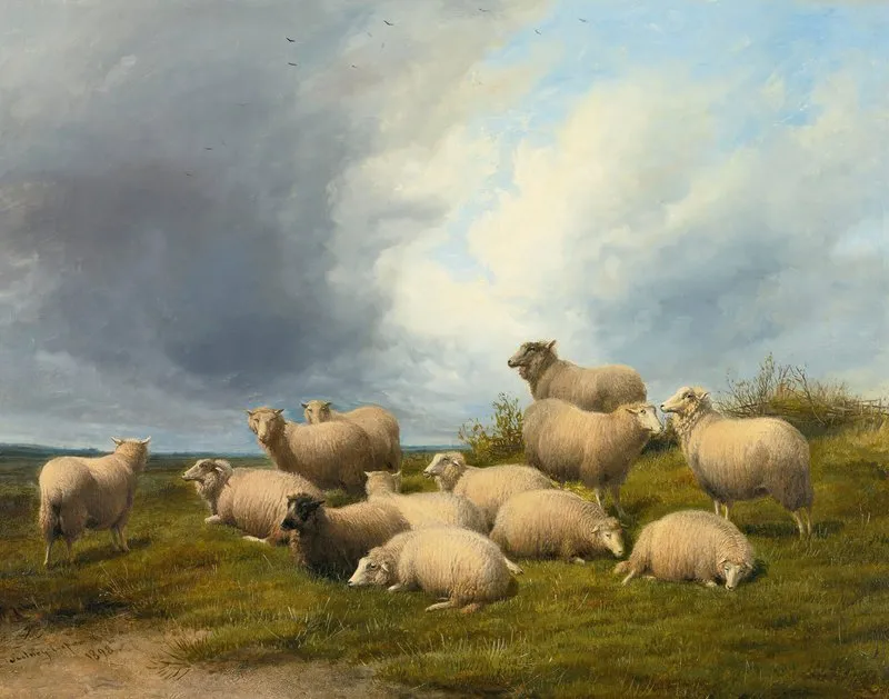 Sheep In A Pasture