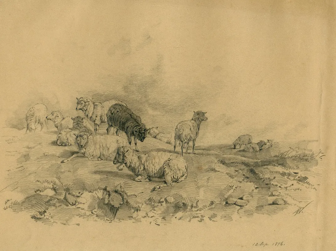 Sheep On The Heath