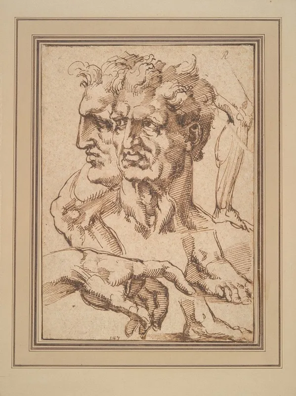 Sheet Of Studies 2 by Baccio Bandinelli - Canvas Print