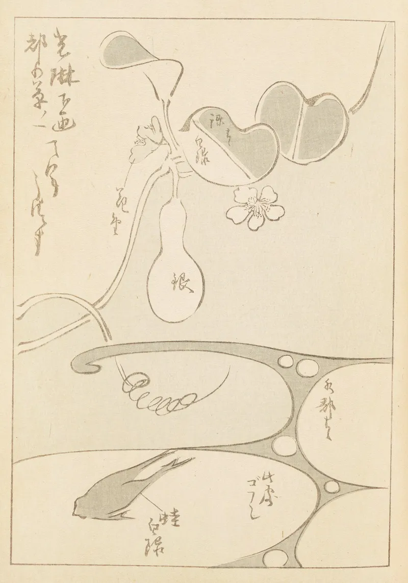 Shin Bijutsukai Pl 062