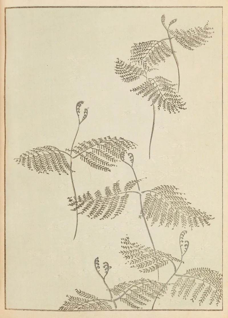 Shin Bijutsukai Pl 230