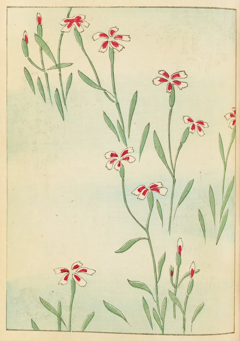 Shin Bijutsukai Pl 239