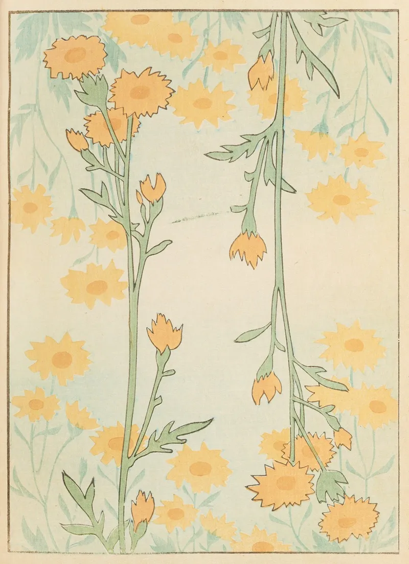 Shin Bijutsukai Pl 242